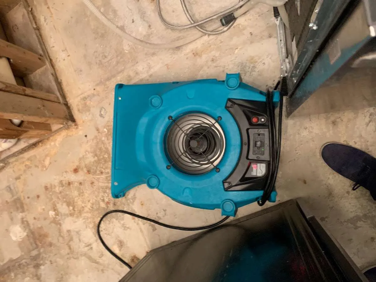 Air mover drying equipment for Mold Remediation & Removal in Cambria