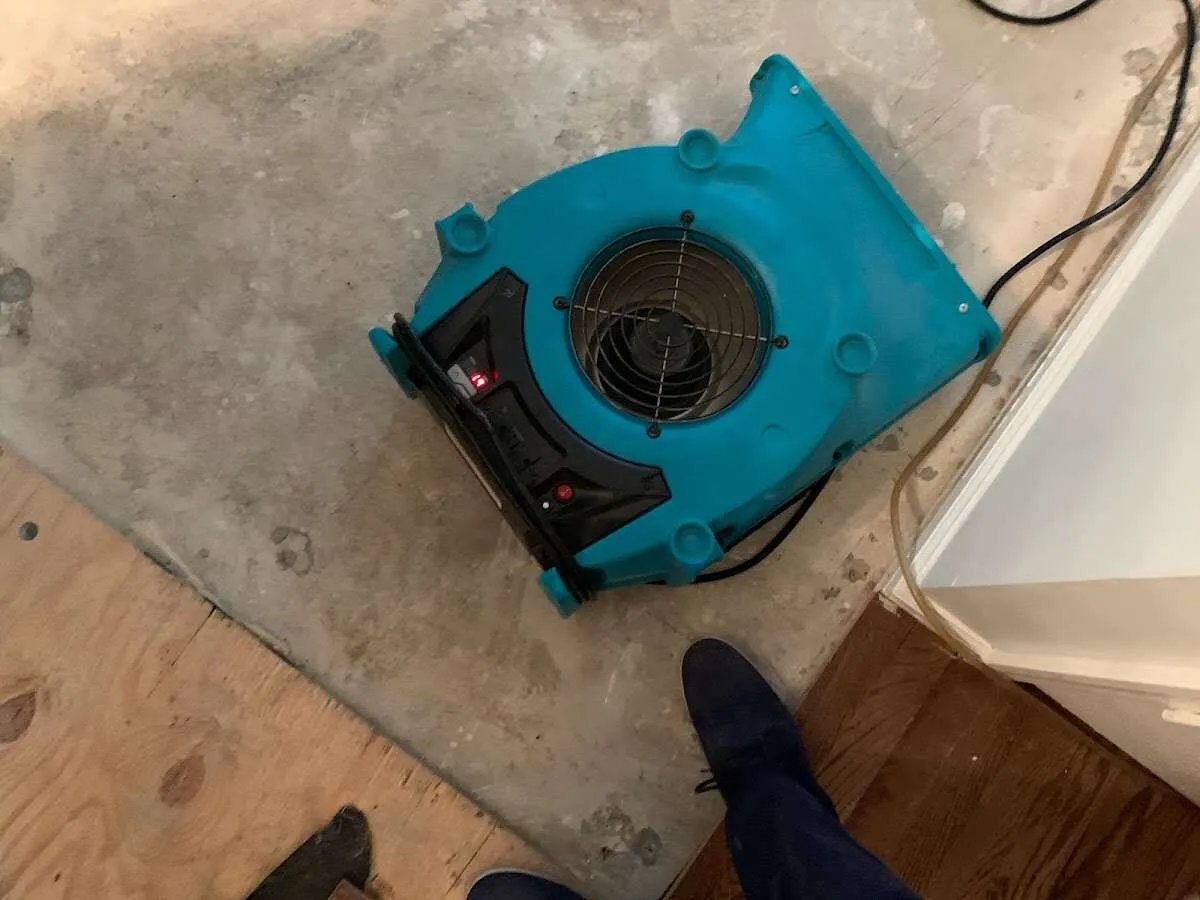 Air mover drying subfloor during Leak Detection & Repair in Cambria